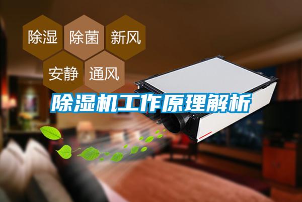除濕機(jī)工作原理解析