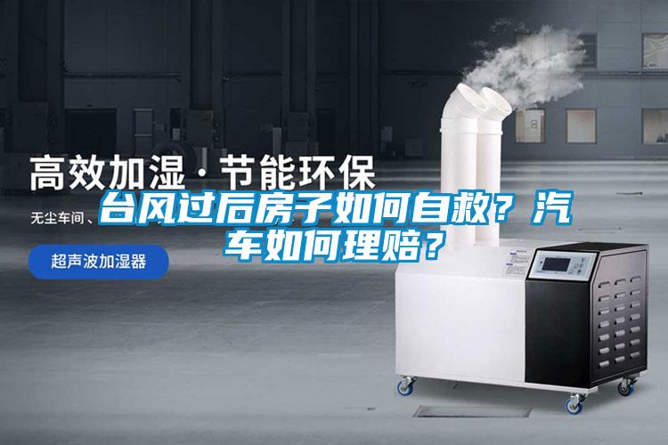 臺(tái)風(fēng)過后房子如何自救？汽車如何理賠？