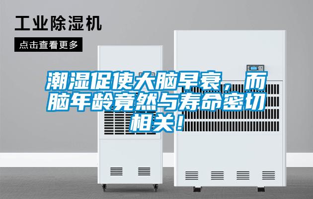 潮濕促使大腦早衰，而腦年齡竟然與壽命密切相關(guān)！