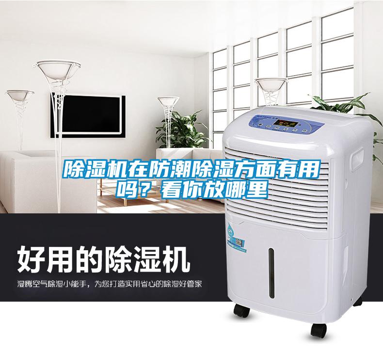 除濕機(jī)在防潮除濕方面有用嗎？看你放哪里