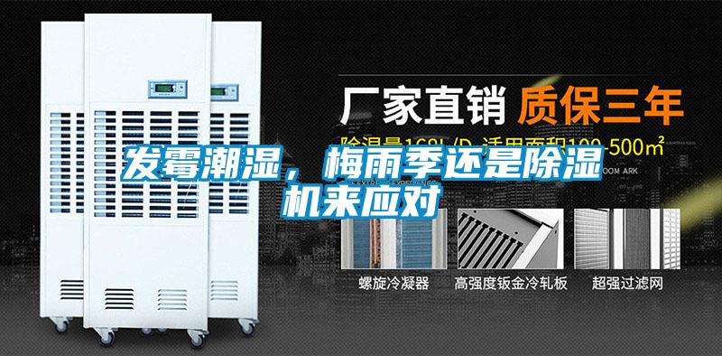 發(fā)霉潮濕，梅雨季還是除濕機(jī)來應(yīng)對