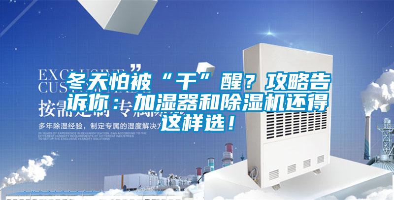 冬天怕被“干”醒？攻略告訴你：加濕器和除濕機還得這樣選！