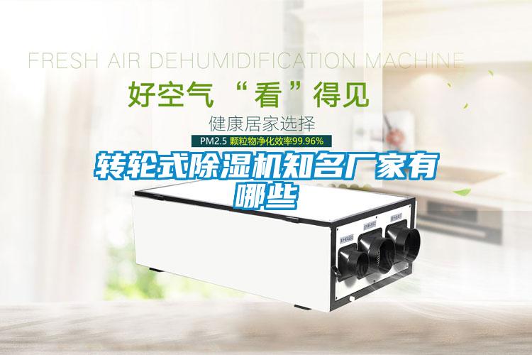 轉(zhuǎn)輪式除濕機知名廠家有哪些