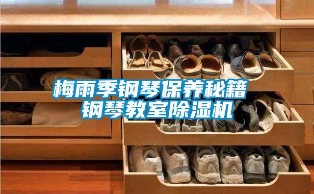 梅雨季鋼琴保養(yǎng)秘籍 鋼琴教室除濕機(jī)