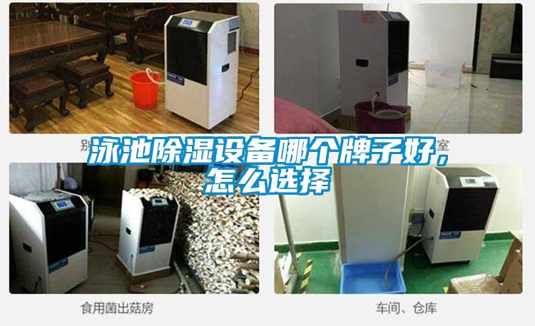 泳池除濕設(shè)備哪個(gè)牌子好，怎么選擇