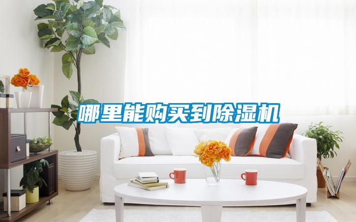 哪里能購(gòu)買到除濕機(jī)