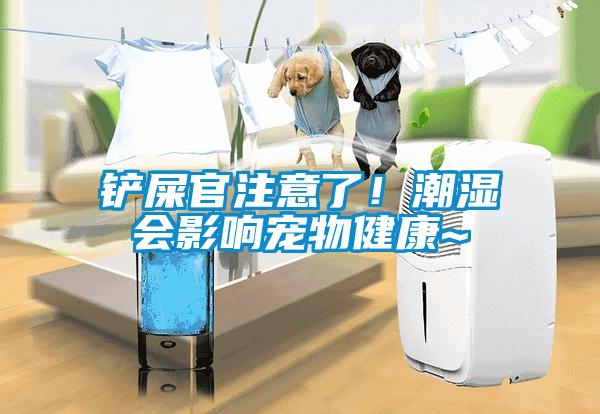 鏟屎官注意了！潮濕會影響寵物健康~
