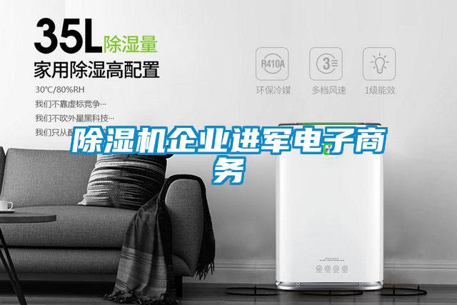 除濕機(jī)企業(yè)進(jìn)軍電子商務(wù)