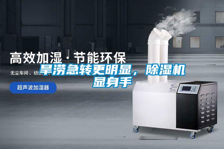 旱澇急轉(zhuǎn)更明顯，除濕機(jī)顯身手