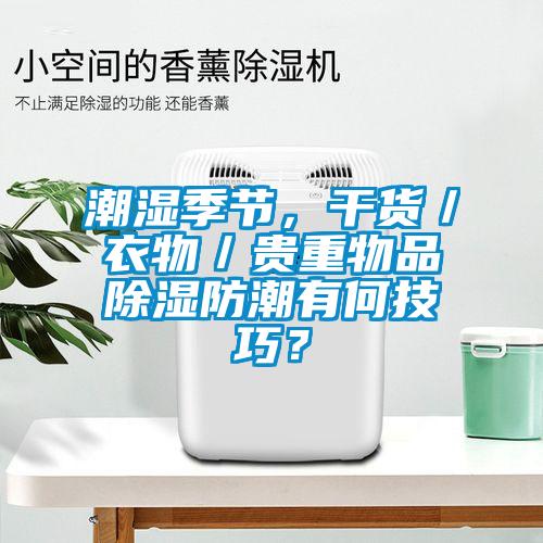 潮濕季節(jié)，干貨／衣物／貴重物品除濕防潮有何技巧？