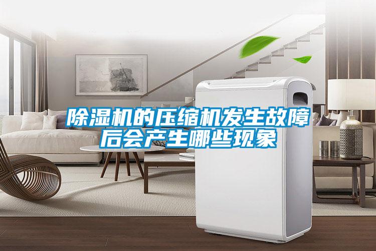 除濕機(jī)的壓縮機(jī)發(fā)生故障后會產(chǎn)生哪些現(xiàn)象