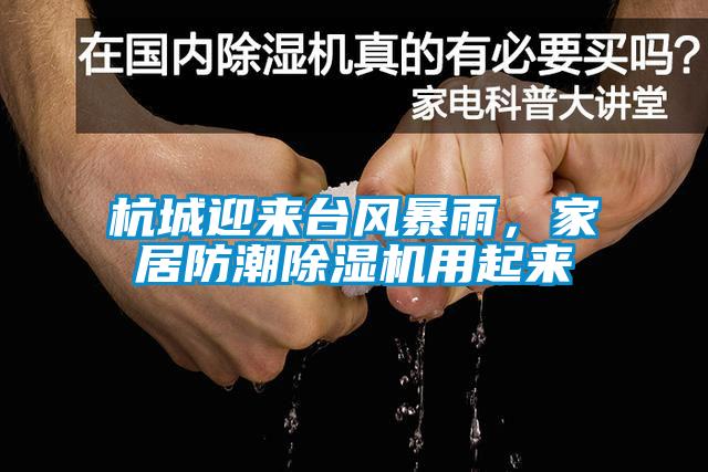 杭城迎來臺風暴雨，家居防潮除濕機用起來