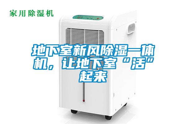 地下室新風(fēng)除濕一體機(jī)，讓地下室“活”起來
