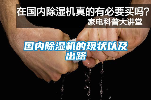 國(guó)內(nèi)除濕機(jī)的現(xiàn)狀以及出路