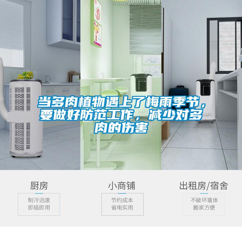 當(dāng)多肉植物遇上了梅雨季節(jié)，要做好防范工作，減少對(duì)多肉的傷害