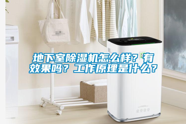 地下室除濕機(jī)怎么樣？有效果嗎？工作原理是什么？