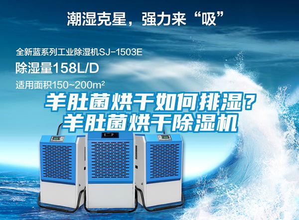 羊肚菌烘干如何排濕？羊肚菌烘干除濕機(jī)
