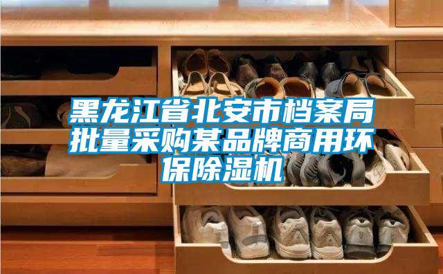 黑龍江省北安市檔案局批量采購(gòu)某品牌商用環(huán)保除濕機(jī)