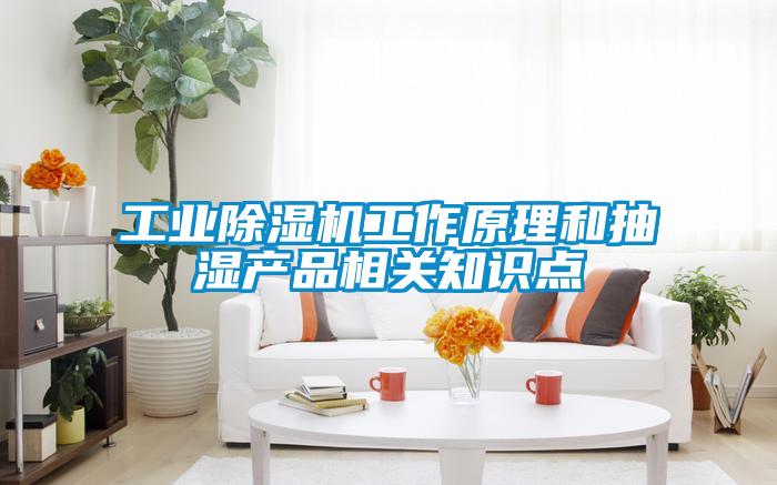 工業(yè)除濕機工作原理和抽濕產品相關知識點