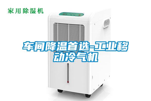 車間降溫首選-工業(yè)移動冷氣機