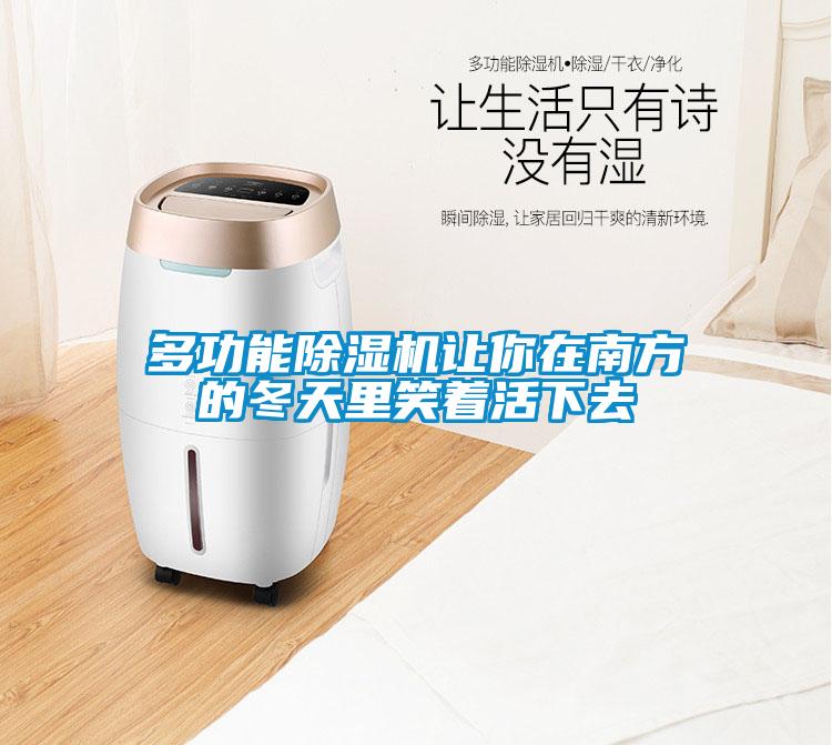 多功能除濕機(jī)讓你在南方的冬天里笑著活下去