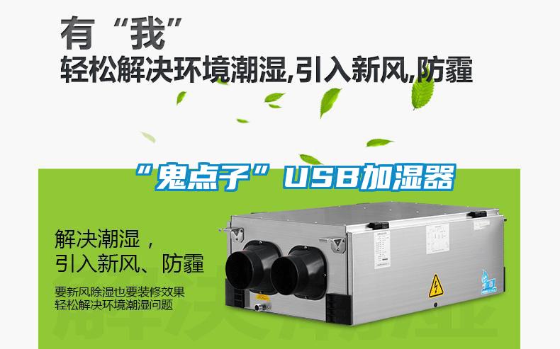 “鬼點(diǎn)子”USB加濕器