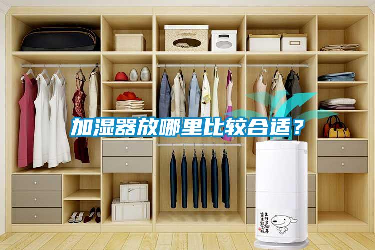 加濕器放哪里比較合適？
