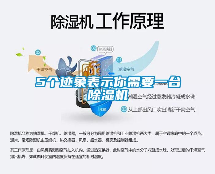 5個(gè)跡象表示你需要一臺(tái)除濕機(jī)