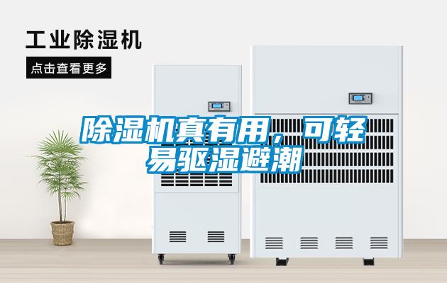 除濕機(jī)真有用，可輕易驅(qū)濕避潮