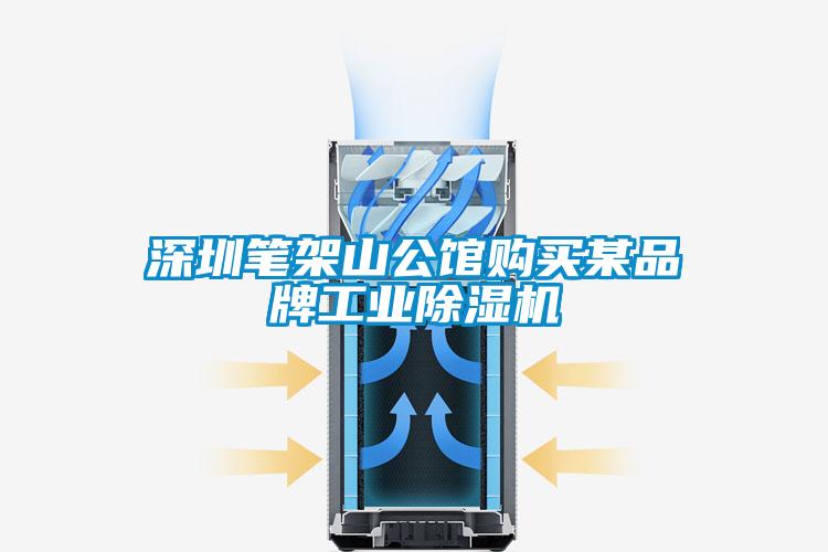 深圳筆架山公館購(gòu)買某品牌工業(yè)除濕機(jī)