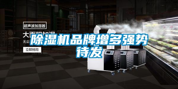 除濕機品牌增多強勢待發(fā)