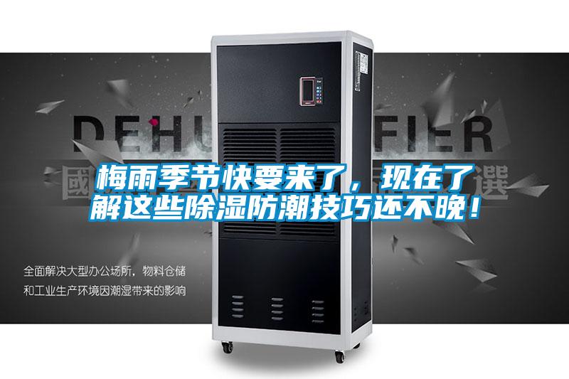 梅雨季節(jié)快要來(lái)了，現(xiàn)在了解這些除濕防潮技巧還不晚！