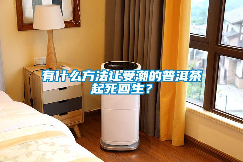 有什么方法讓受潮的普洱茶起死回生？