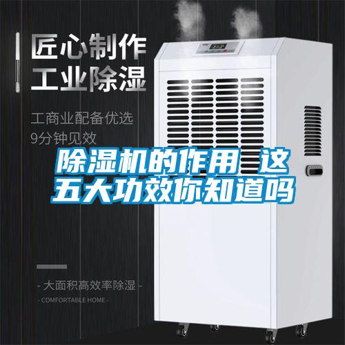 除濕機(jī)的作用 這五大功效你知道嗎