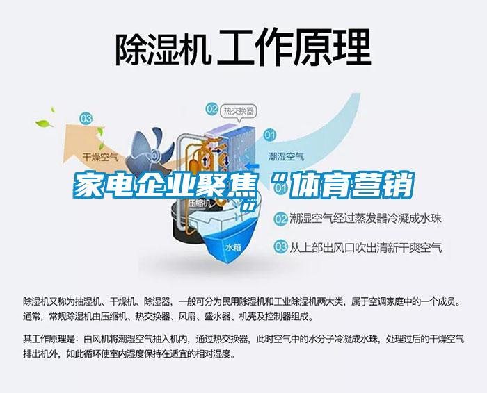 家電企業(yè)聚焦“體育營(yíng)銷”