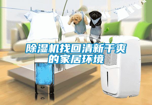 除濕機找回清新干爽的家居環(huán)境
