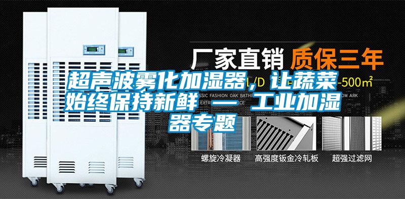 超聲波霧化加濕器，讓蔬菜始終保持新鮮 — 工業(yè)加濕器專題