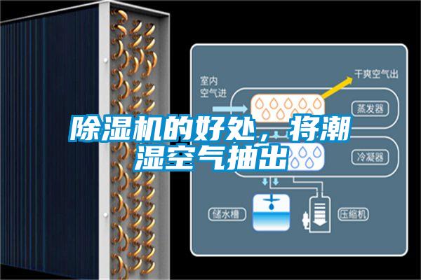 除濕機(jī)的好處，將潮濕空氣抽出