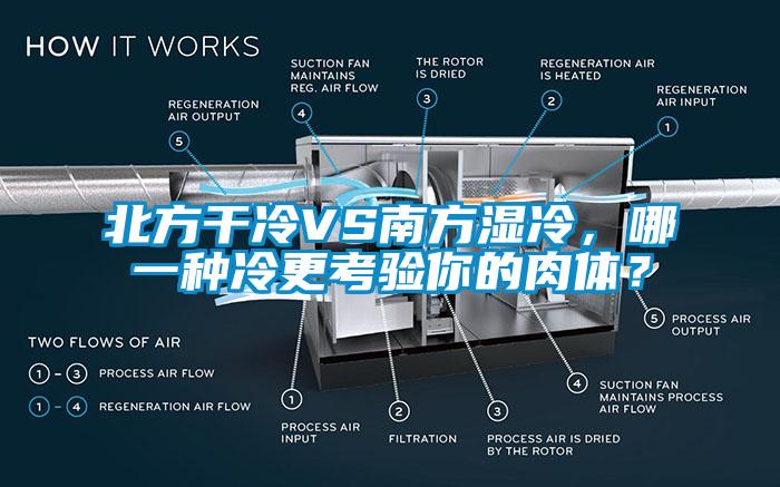北方干冷VS南方濕冷，哪一種冷更考驗你的肉體？