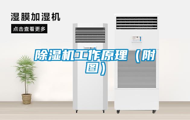 除濕機工作原理（附圖）