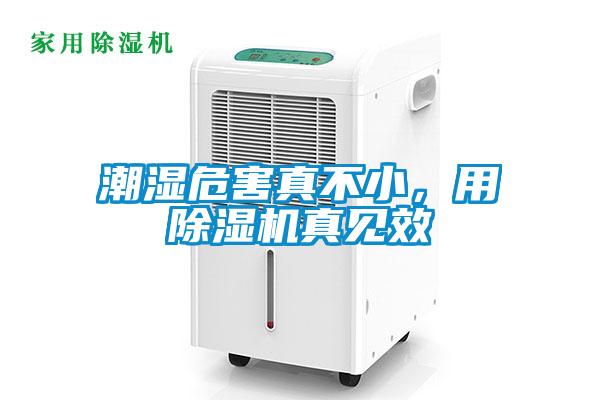 潮濕危害真不小，用除濕機(jī)真見(jiàn)效