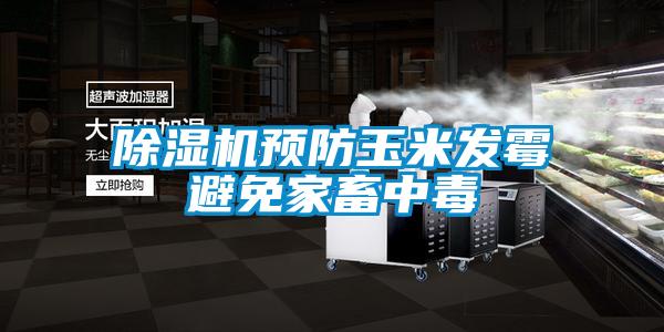 除濕機(jī)預(yù)防玉米發(fā)霉避免家畜中毒