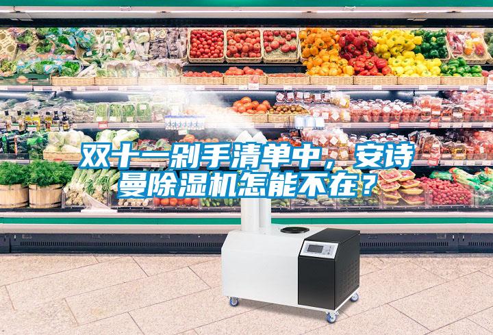 雙十一剁手清單中，安詩(shī)曼除濕機(jī)怎能不在？