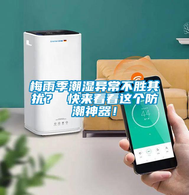 梅雨季潮濕異常不勝其擾？ 快來看看這個防潮神器！