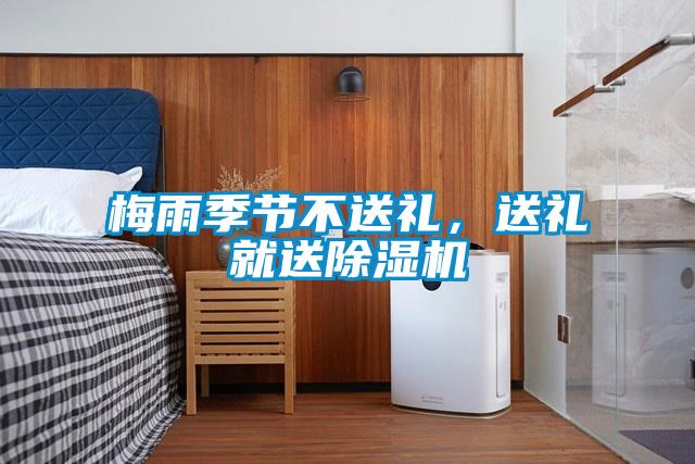 梅雨季節(jié)不送禮，送禮就送除濕機(jī)