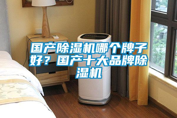 國(guó)產(chǎn)除濕機(jī)哪個(gè)牌子好?國(guó)產(chǎn)十大品牌除濕機(jī)