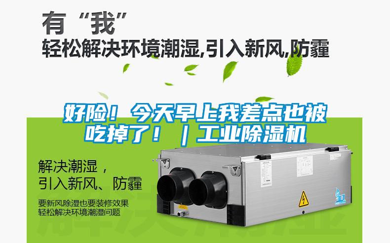 好險！今天早上我差點也被吃掉了?。I(yè)除濕機