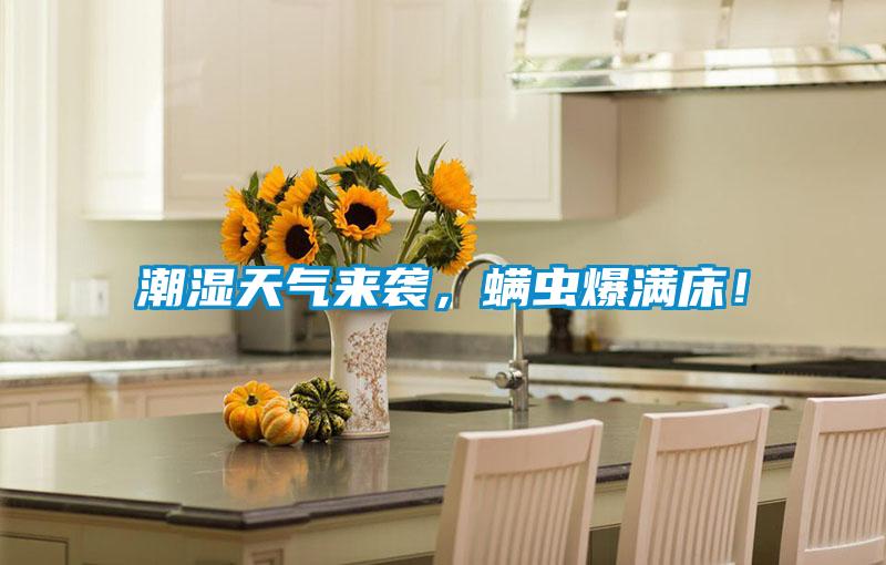 潮濕天氣來襲，螨蟲爆滿床！