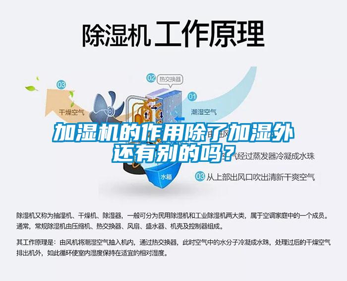 加濕機(jī)的作用除了加濕外還有別的嗎？