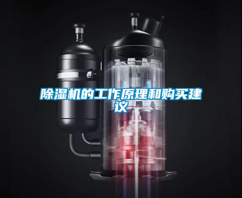 除濕機(jī)的工作原理和購(gòu)買建議